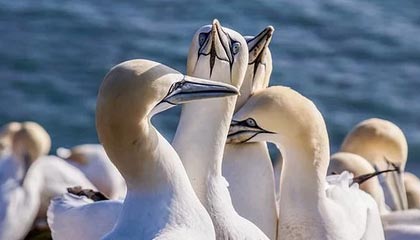 JiuyouAPP下载-赛程密集导致伤病高发是否影响排名波动趋势