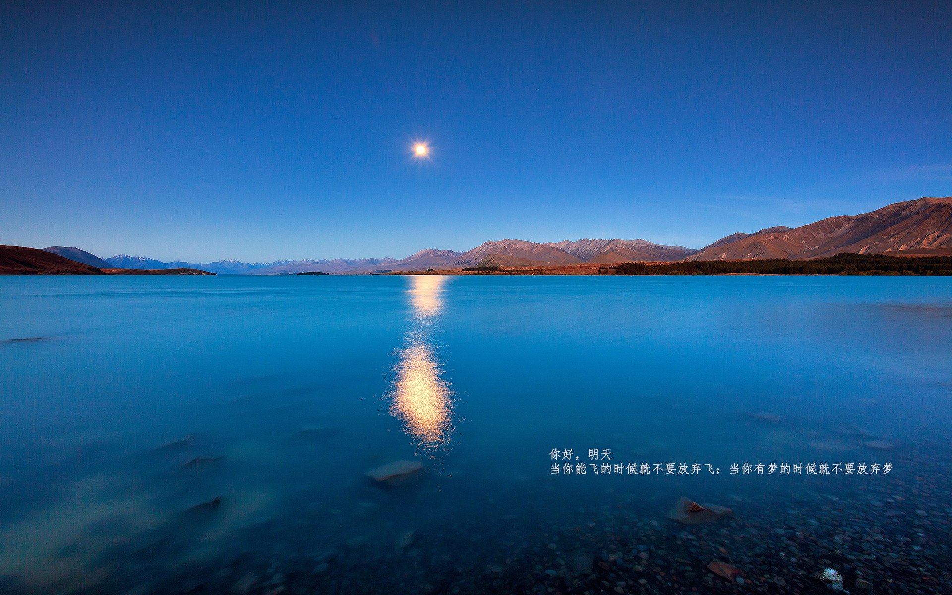 全国青少年“绿色训练”创新实践在青海全面铺开,推动绿色可持续发展