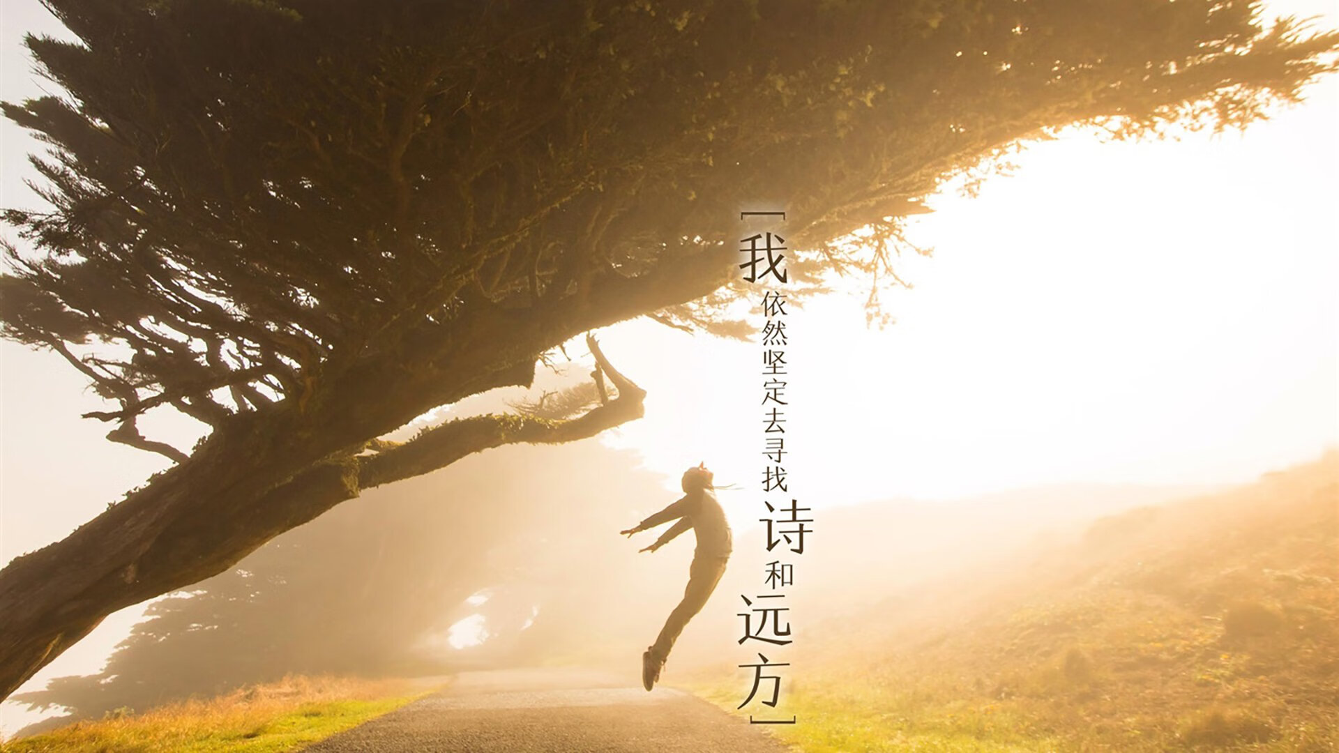 全国高山滑雪巡回赛,雪域风情尽展运动风采,2020高山滑雪