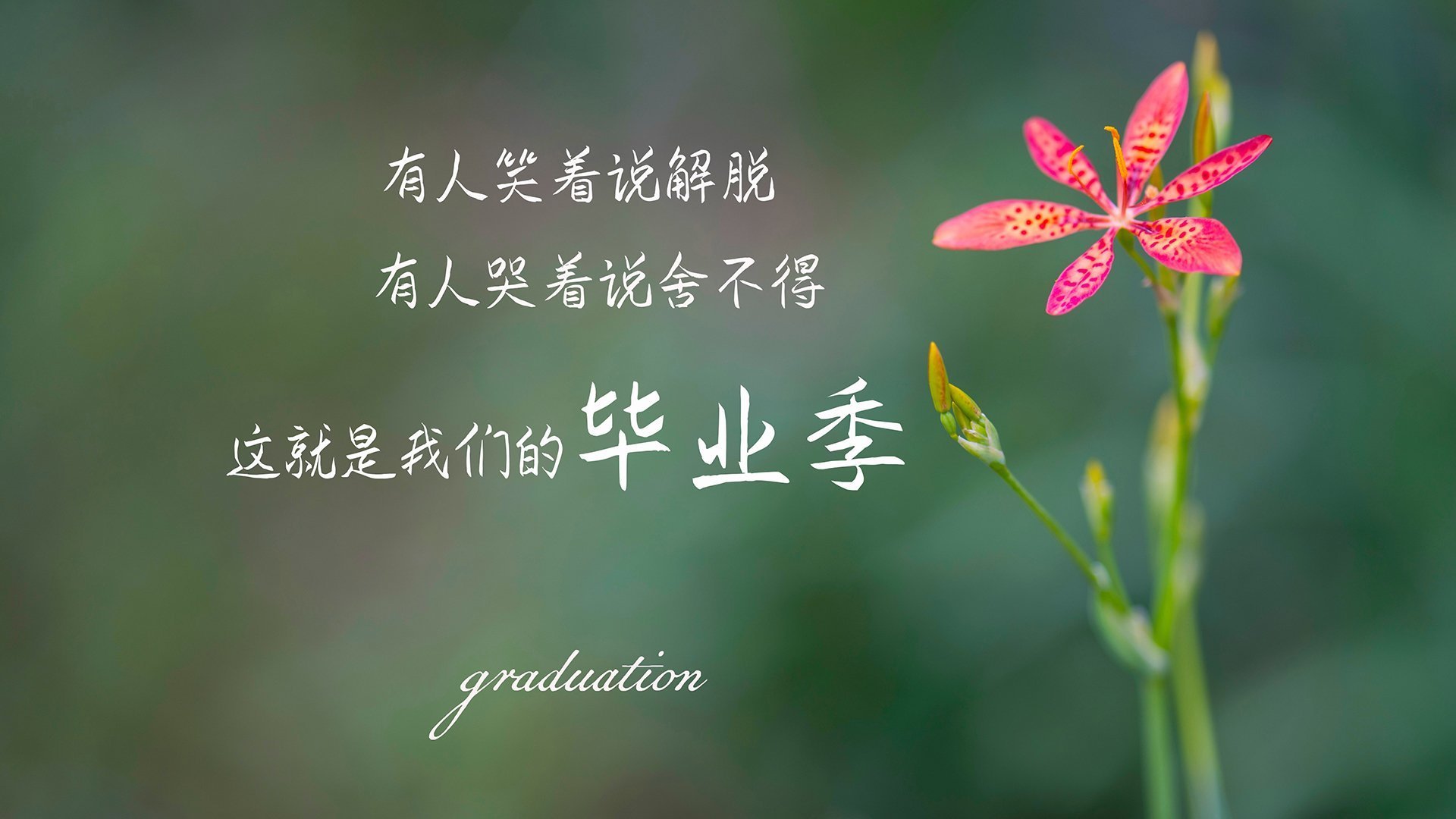国际奥委会:塞内加尔是冬奥足球“惊艳之队”,2021奥运会塞内加尔第几个出场