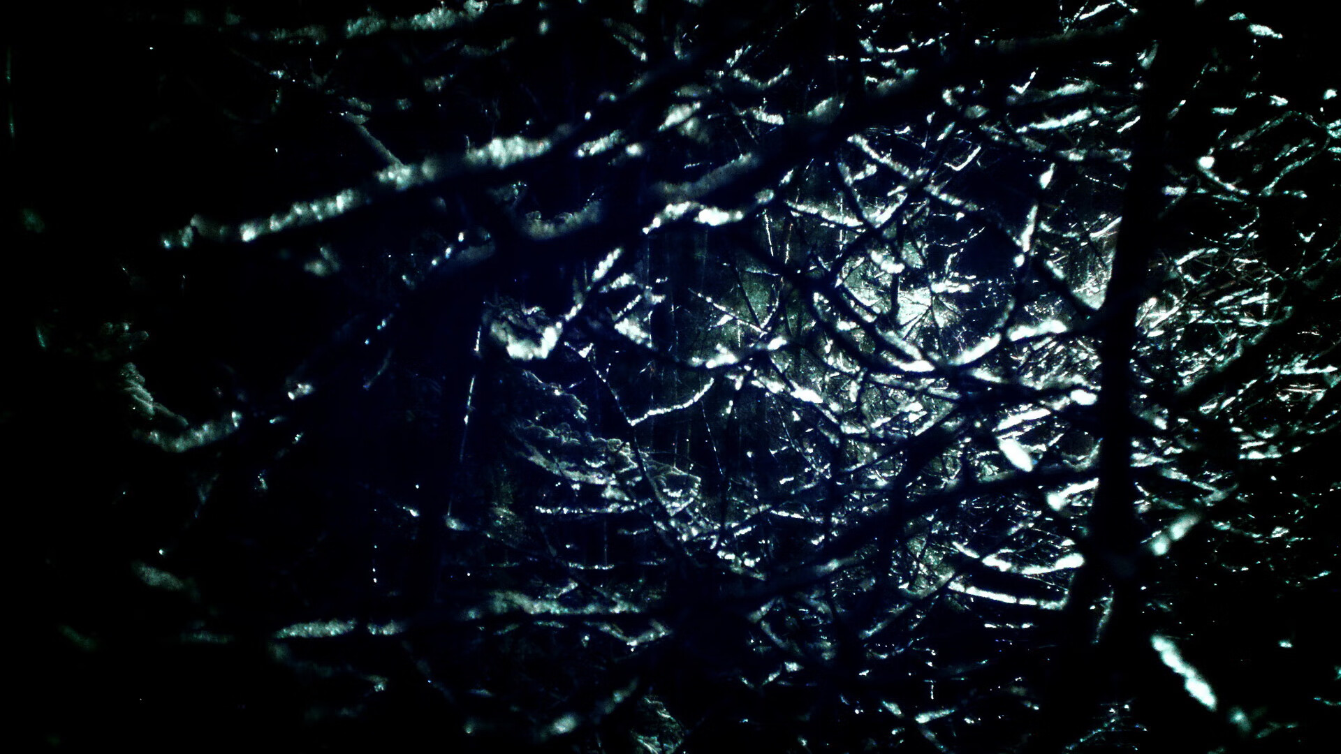 九游（jiuyou.com）游戏-女排联赛：逆转绝杀惊艳四座，女排联赛程