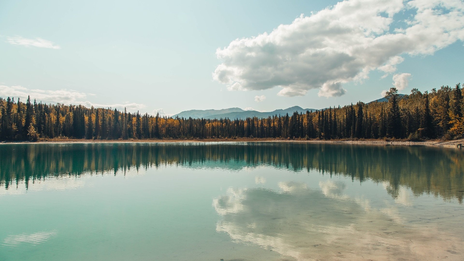 未来联盟:虚拟现实技术让观赛体验更沉浸,一张图看懂未来联盟第一人, 现役第一人表示不服