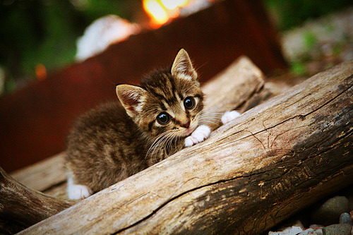 欧冠席位激烈争夺，积分榜上的“生死战”，欧冠十大死亡之组