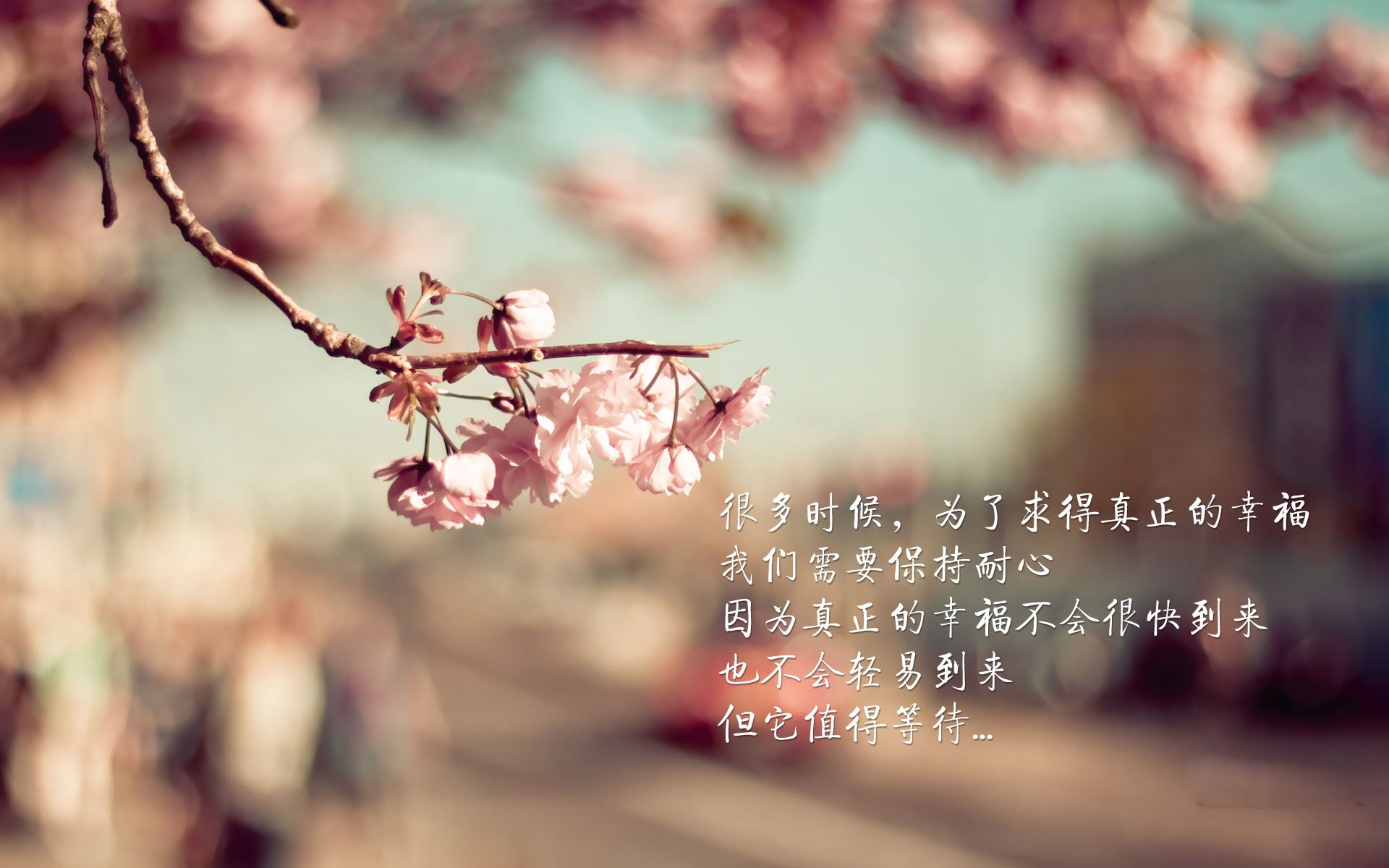 篮网首次采用“动态战术板”,教练组实时调整战术,篮网战术手册