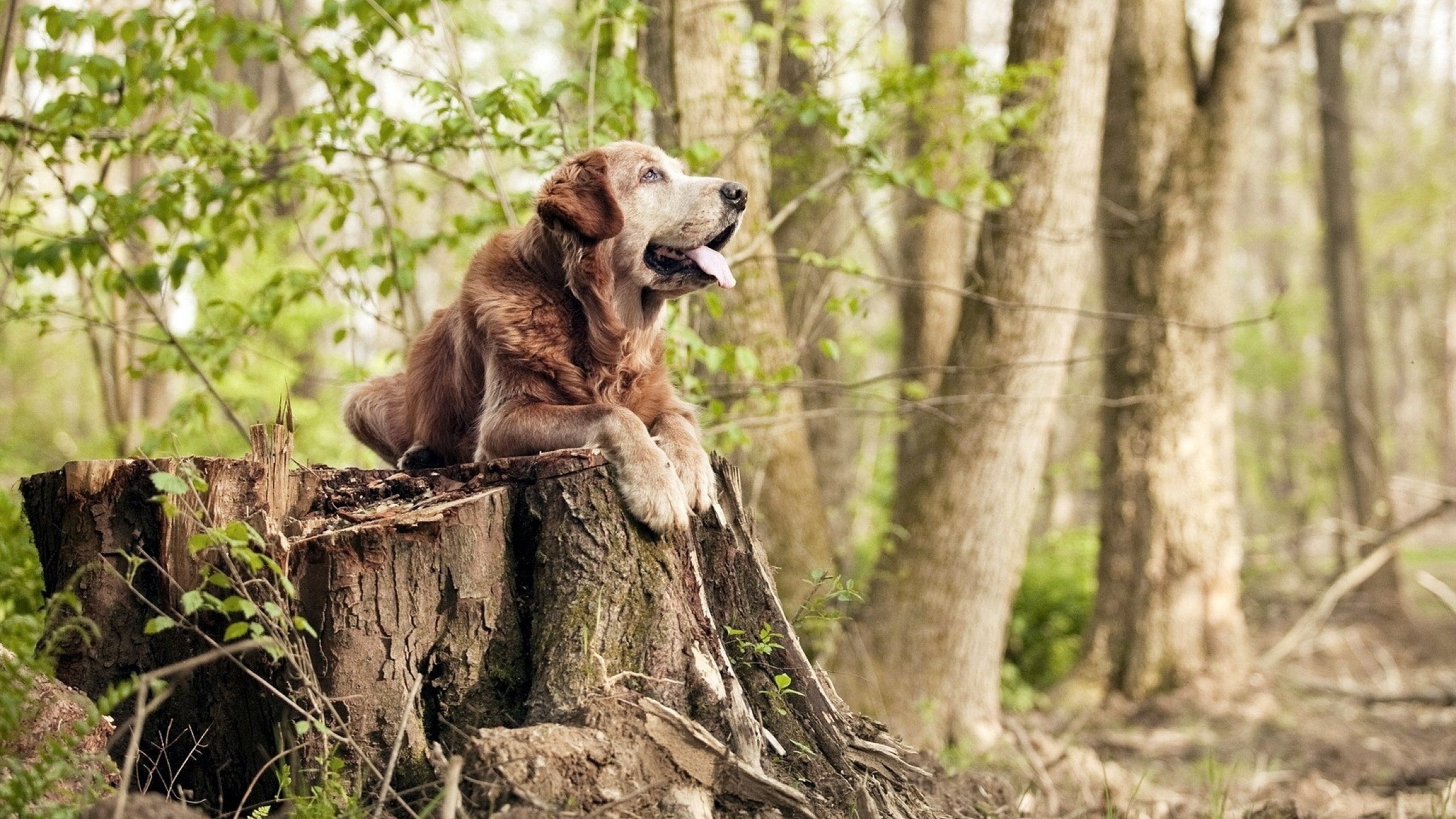 美国马术协会举办国际马术科技大会,推动行业技术交流与合作。