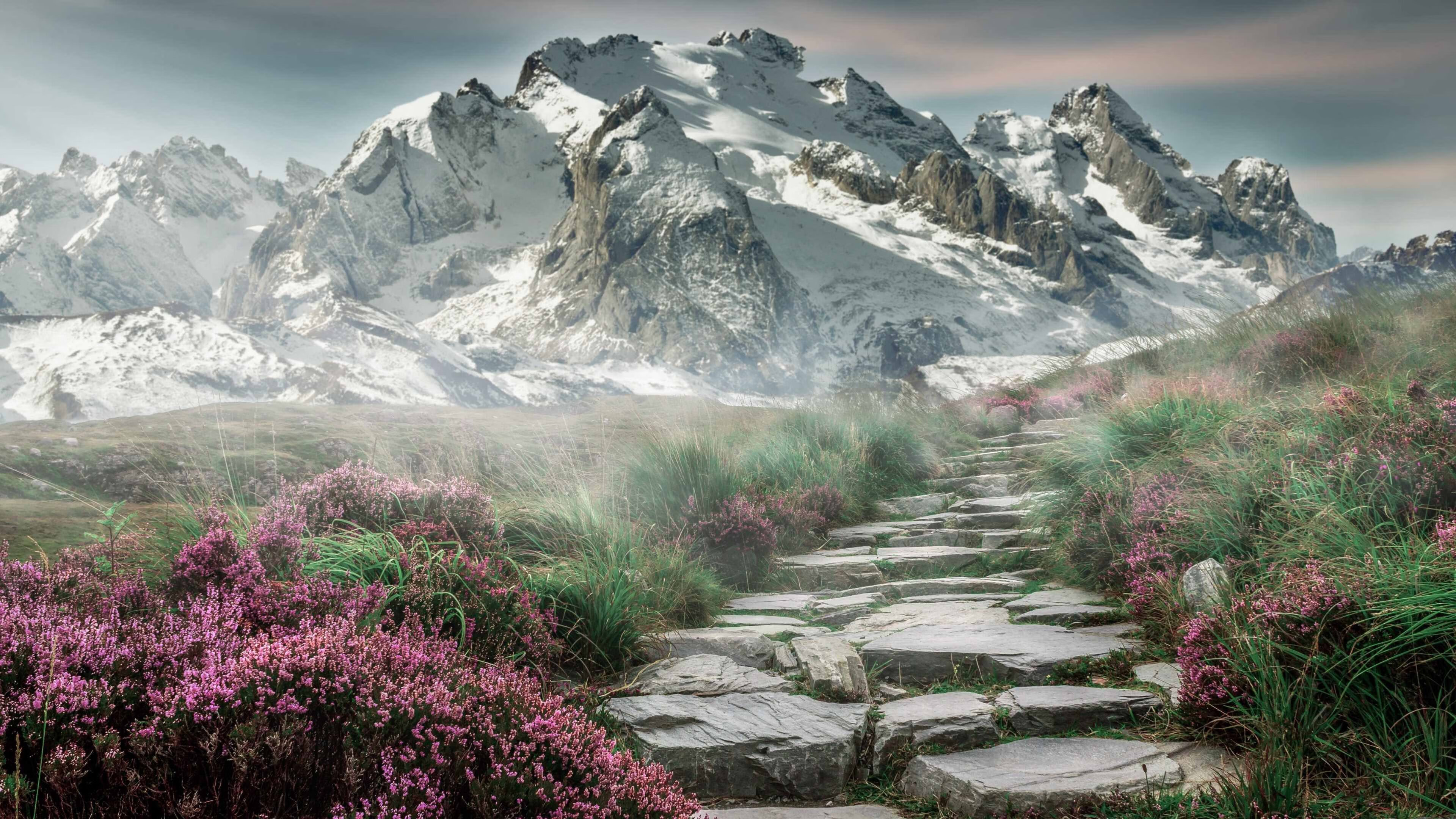 九游网页版官网-中甲能否成为青训成果的真实检验平台，中甲国青