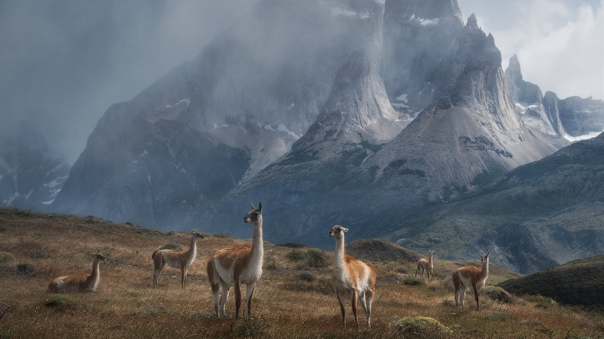 主力球员绝杀瞬间,锁定胜利之门,足球绝杀球